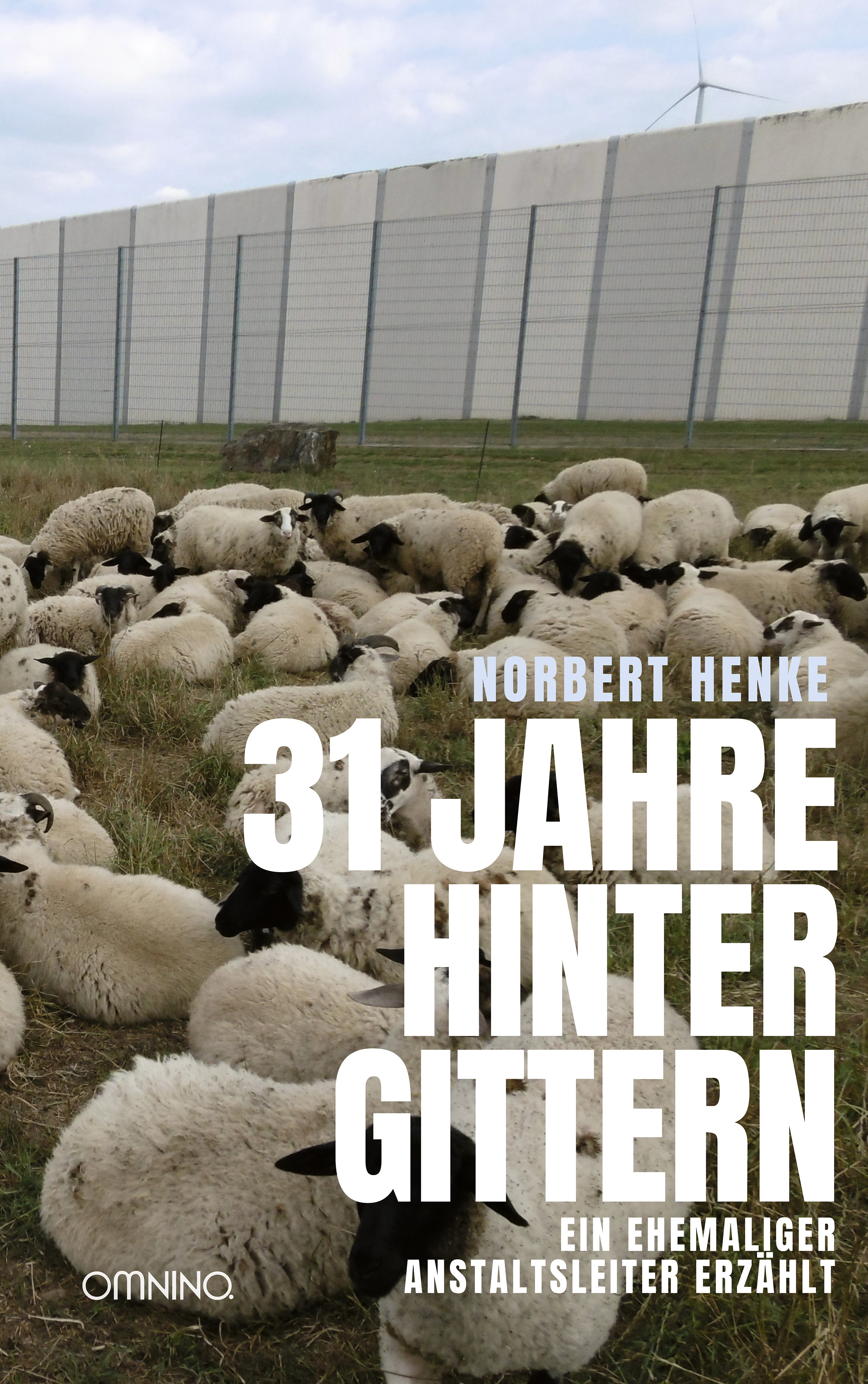 31 Jahre hinter Gittern : Ein ehemaliger Anstaltsleiter erzählt (2. überarbeitete Auflage). Ein Buch von Norbert Henke